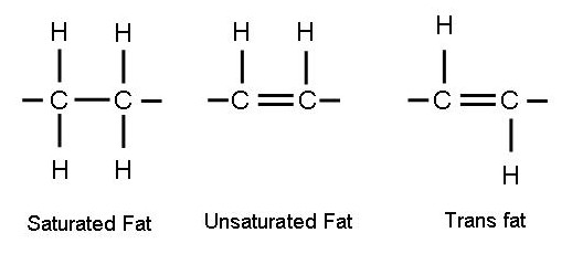 Define Trans Fats 48